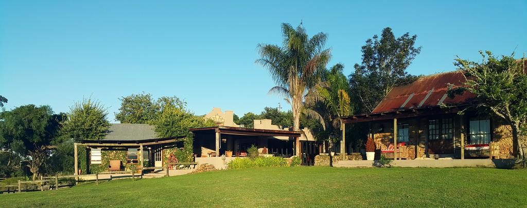 Plettenberg Bay Game Reserve: The Baroness Safari Lodge Luaran gambar
