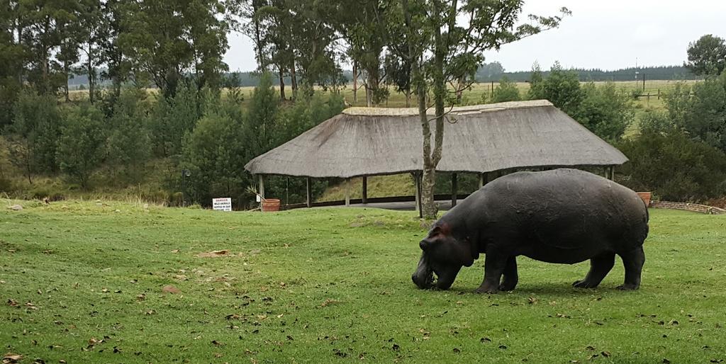 Plettenberg Bay Game Reserve: The Baroness Safari Lodge Luaran gambar